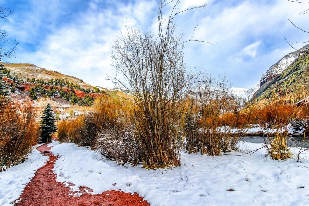 Mountain Lodge Telluride Phòng bức ảnh